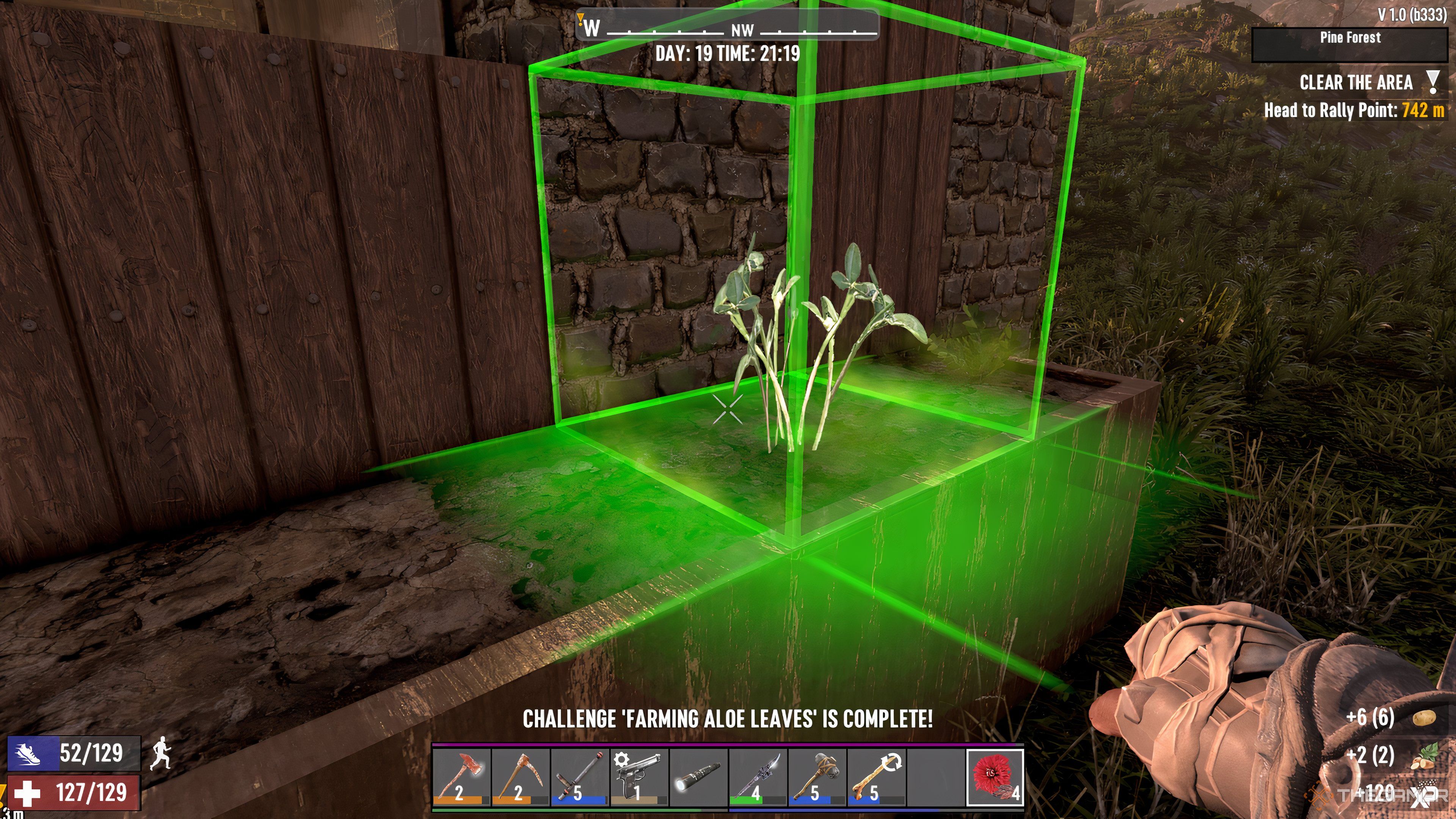 In 7 Days To Die, the player character plants an aloe vera seed on a field.