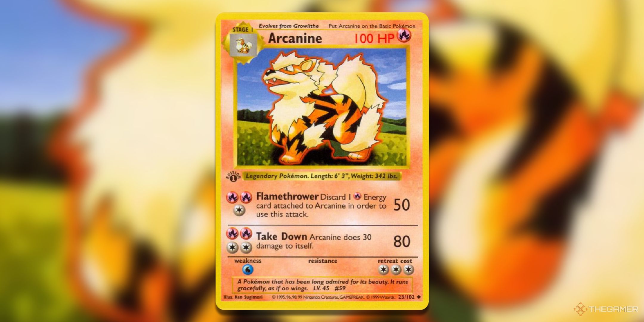 Самые ценные арканиновые карты в Pokemon TCG