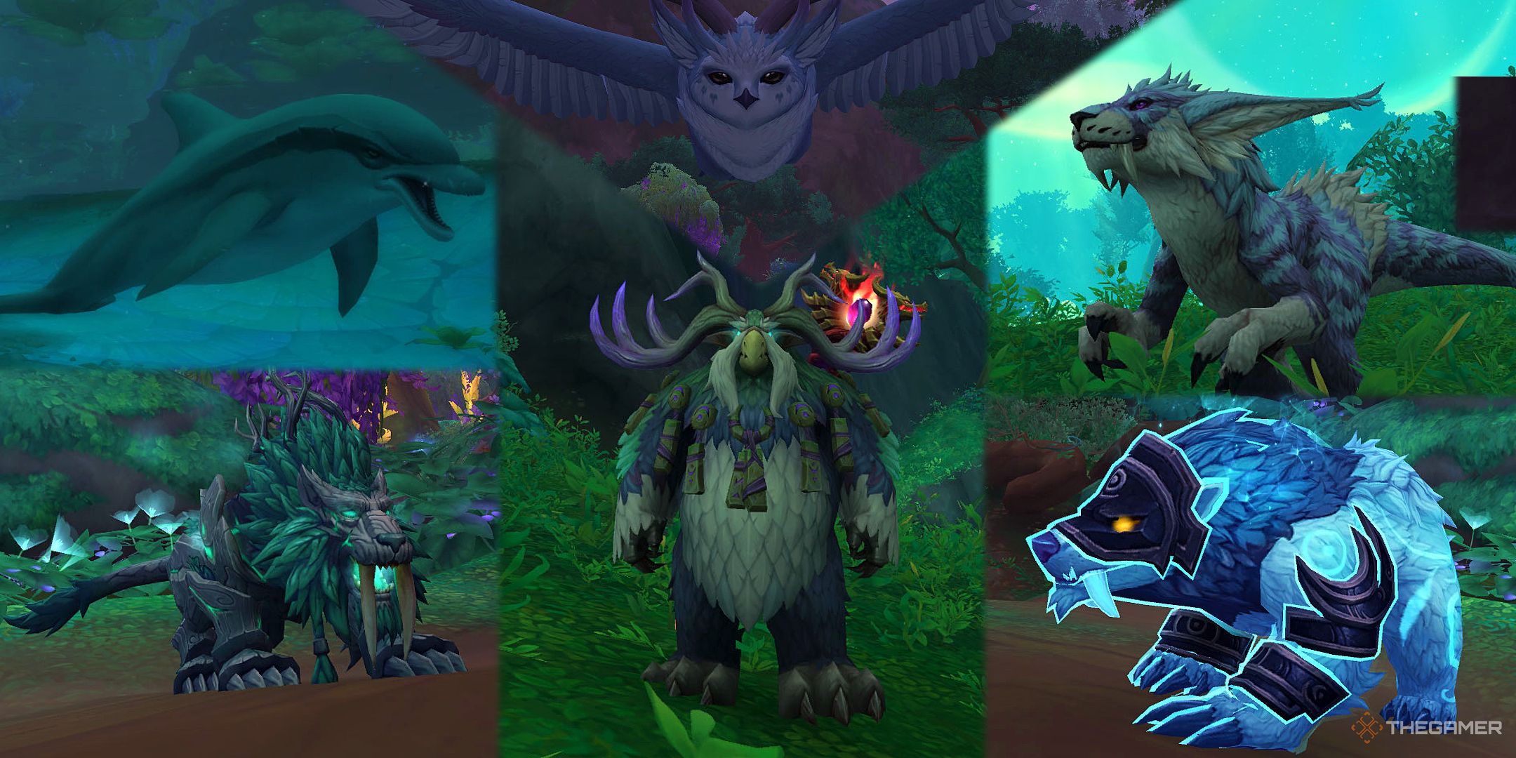 Druid Moonkin, Bear, Travel, Aquatic, Flight, and Cat forms in World of Warcraft.