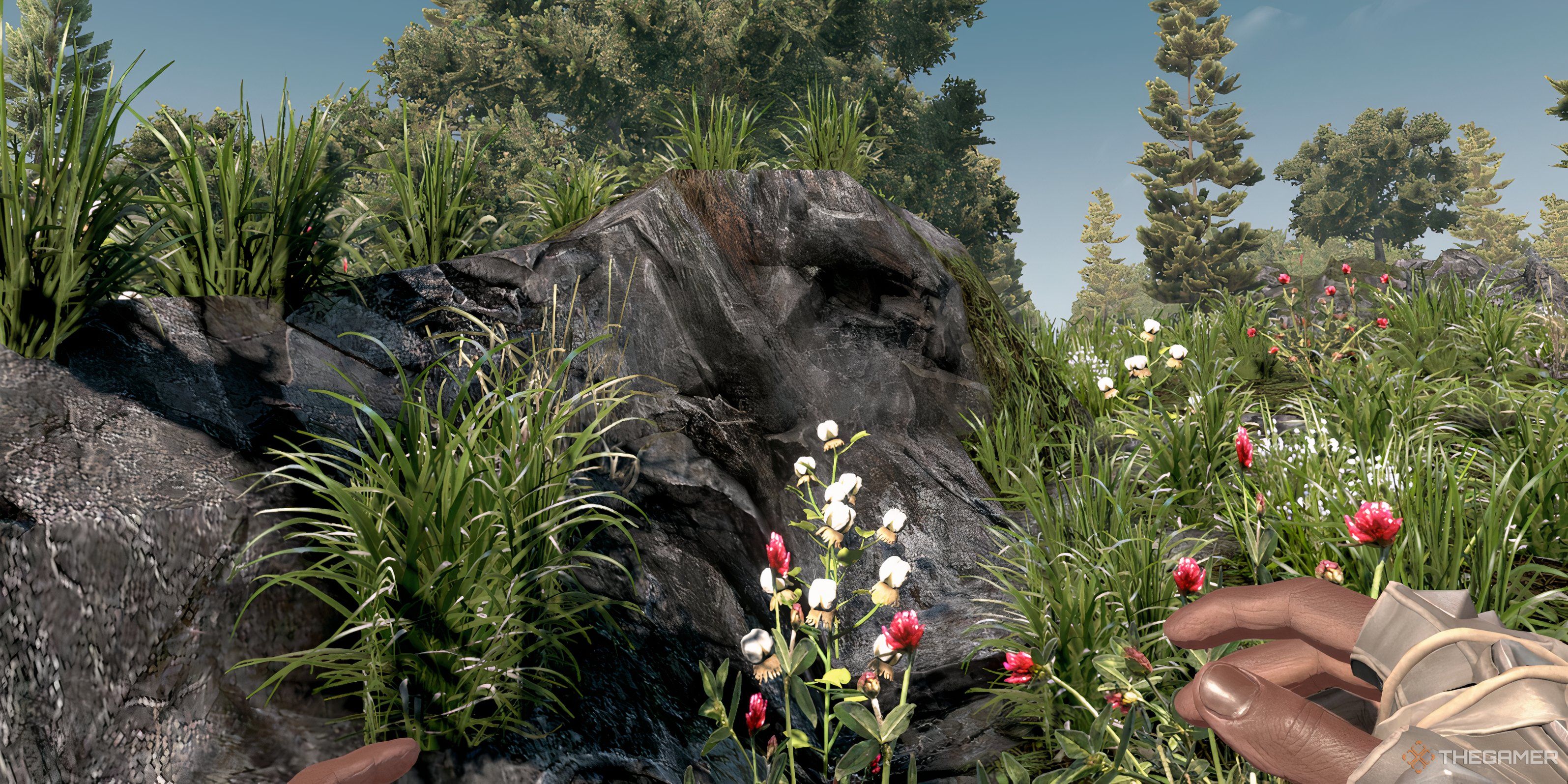 how to get clay in 7 days to die ps5
