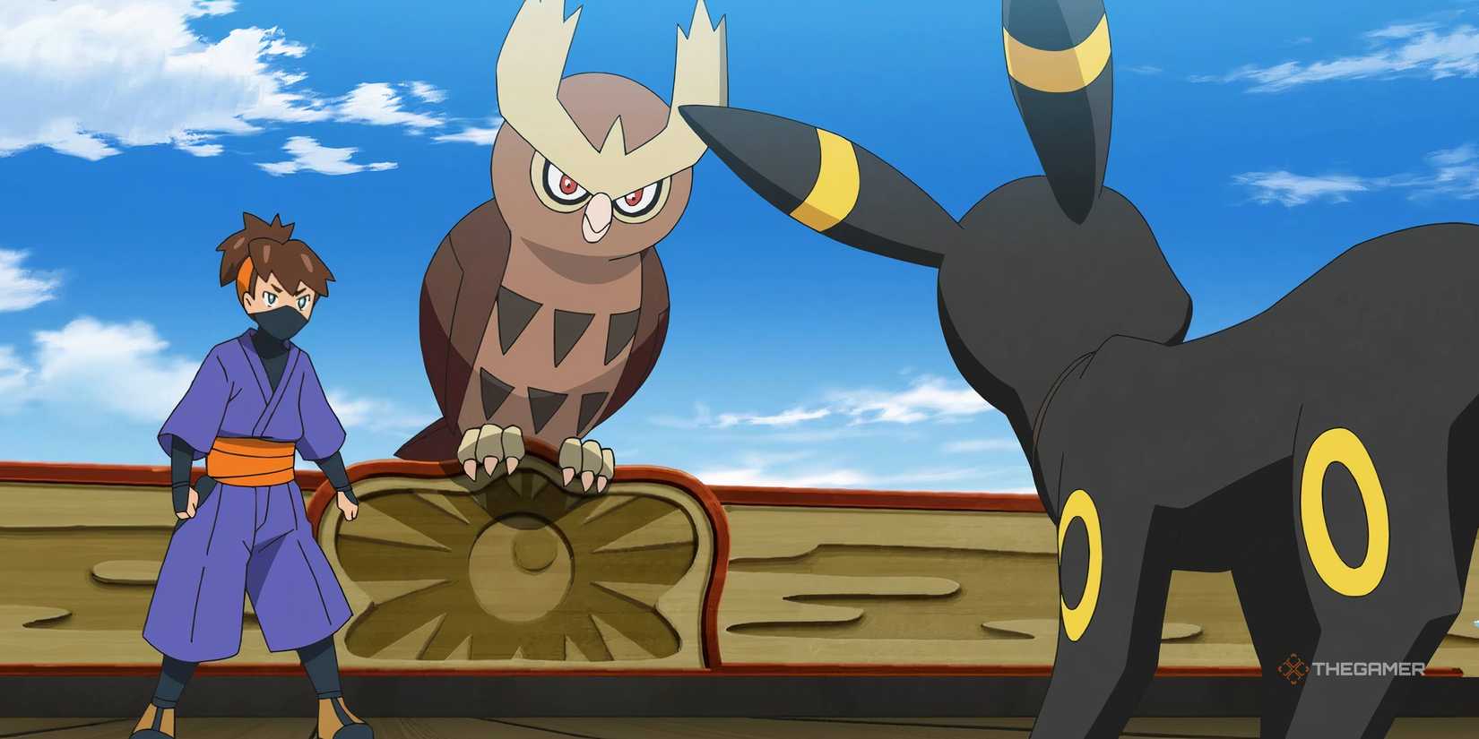 Pokemon: Noctowl staring down an Umbreon during a Pokemon Battle.