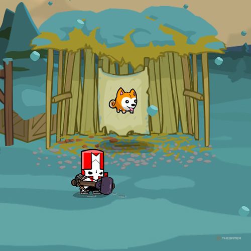 Как получить все сферы животных в Castle Crashers