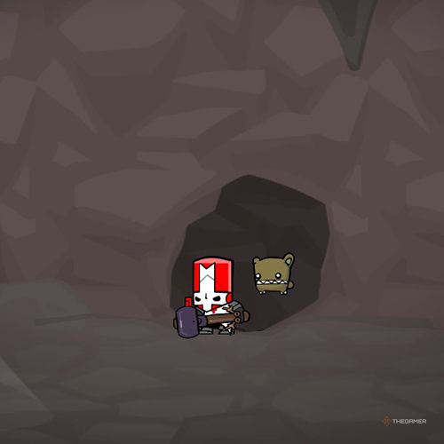 Как получить все сферы животных в Castle Crashers