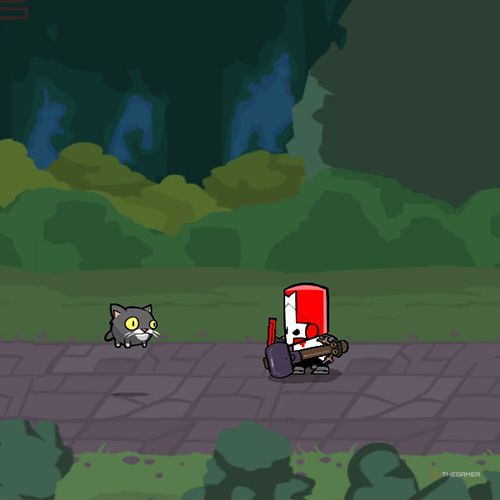 Как получить все сферы животных в Castle Crashers