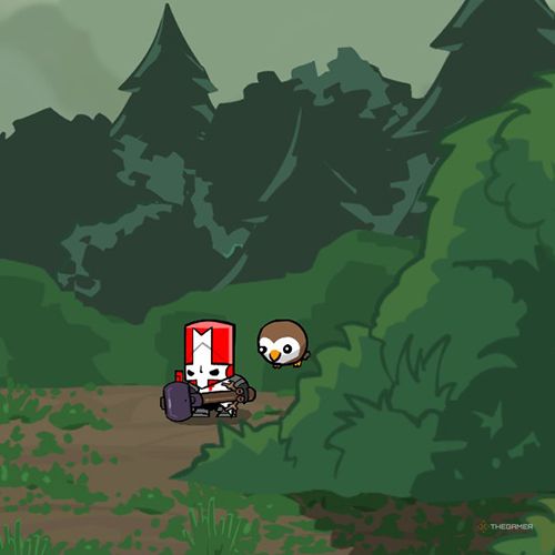 Как получить все сферы животных в Castle Crashers