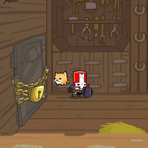 Как получить все сферы животных в Castle Crashers