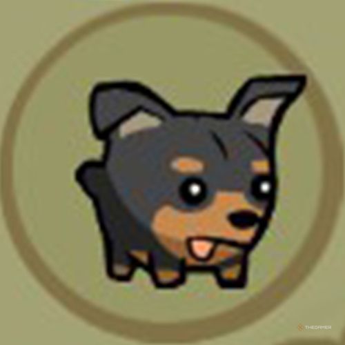 The portrait of the Mr Buddy animal orb appears inside a circle in Castle Crashers.