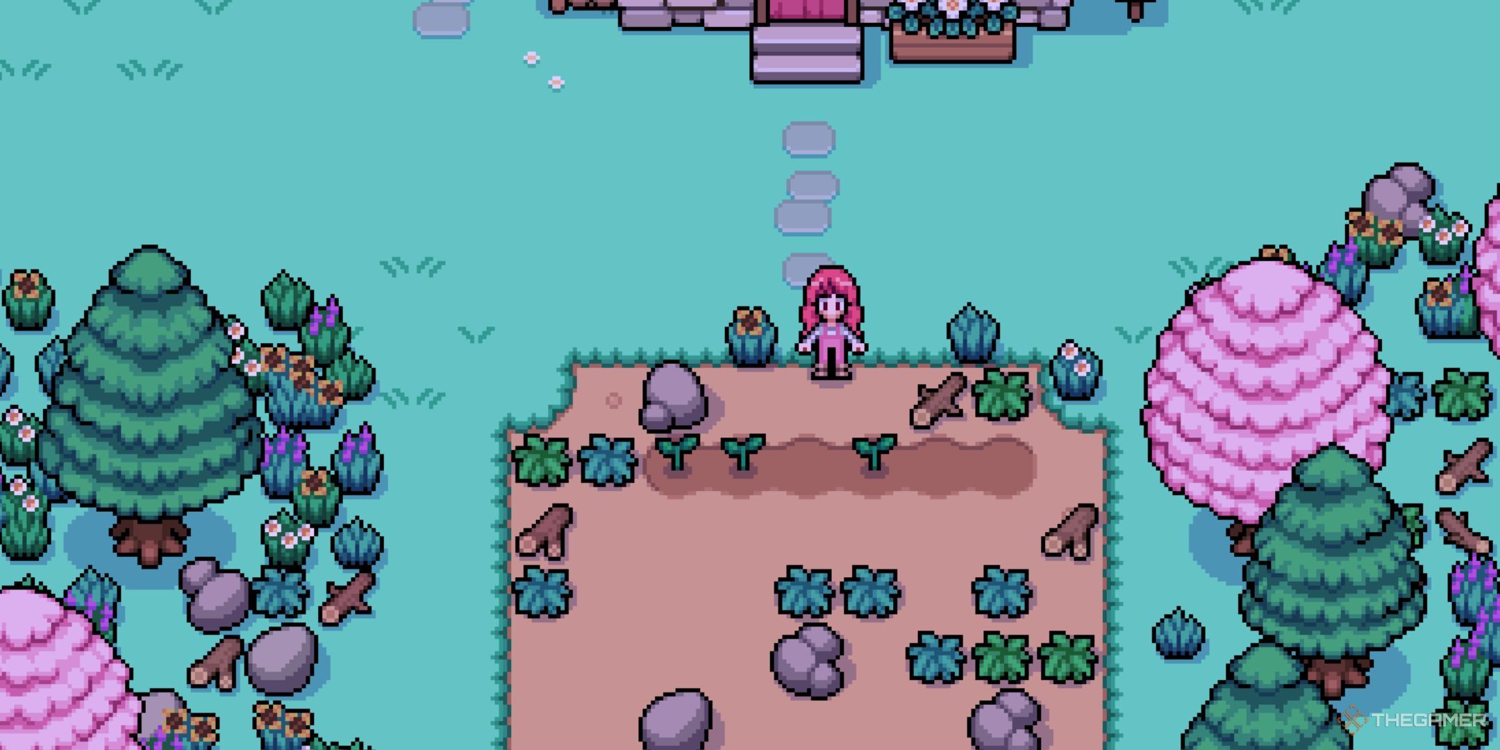 The player is standing near to a field in the farm. 