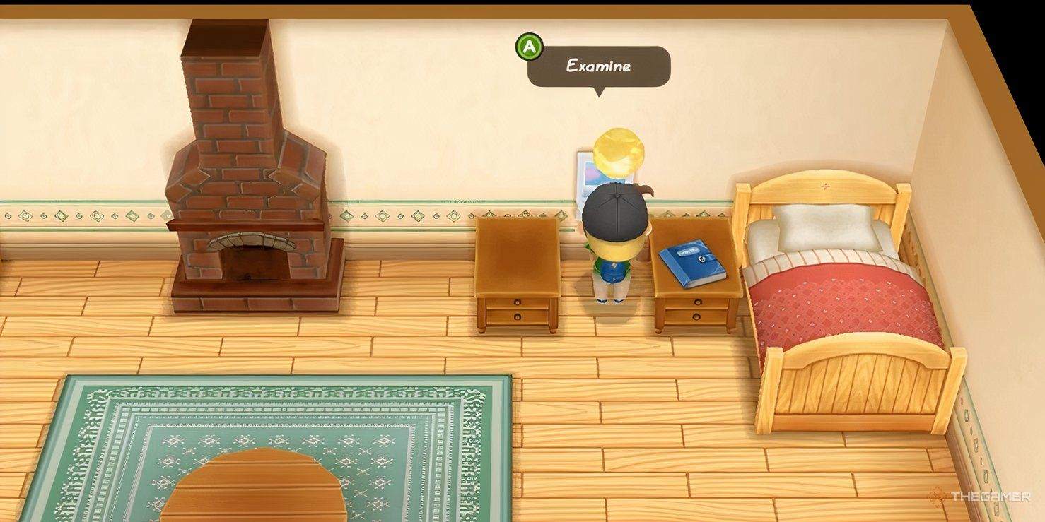 Все местоположения драгоценностей истины в Story Of Seasons: Friends Of Mineral Town