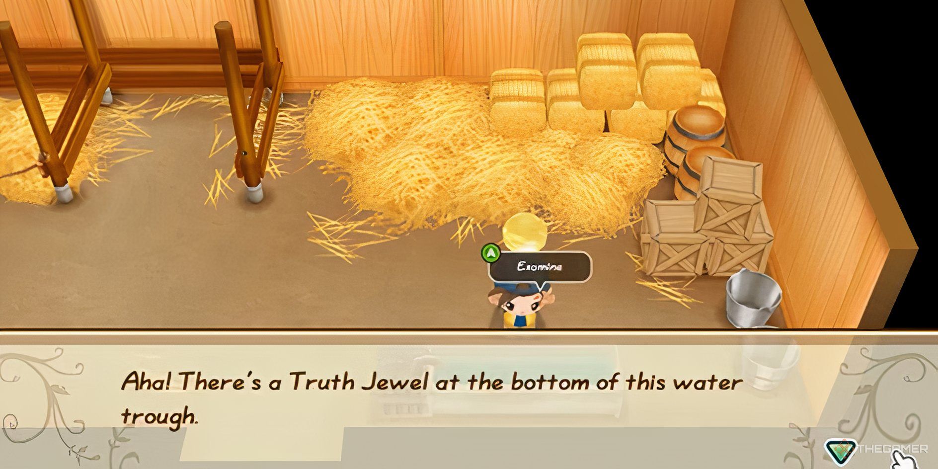 Все местоположения драгоценностей истины в Story Of Seasons: Friends Of Mineral Town