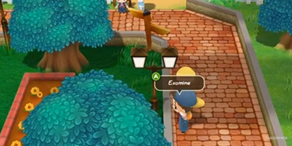 Все местоположения драгоценностей истины в Story Of Seasons: Friends Of Mineral Town