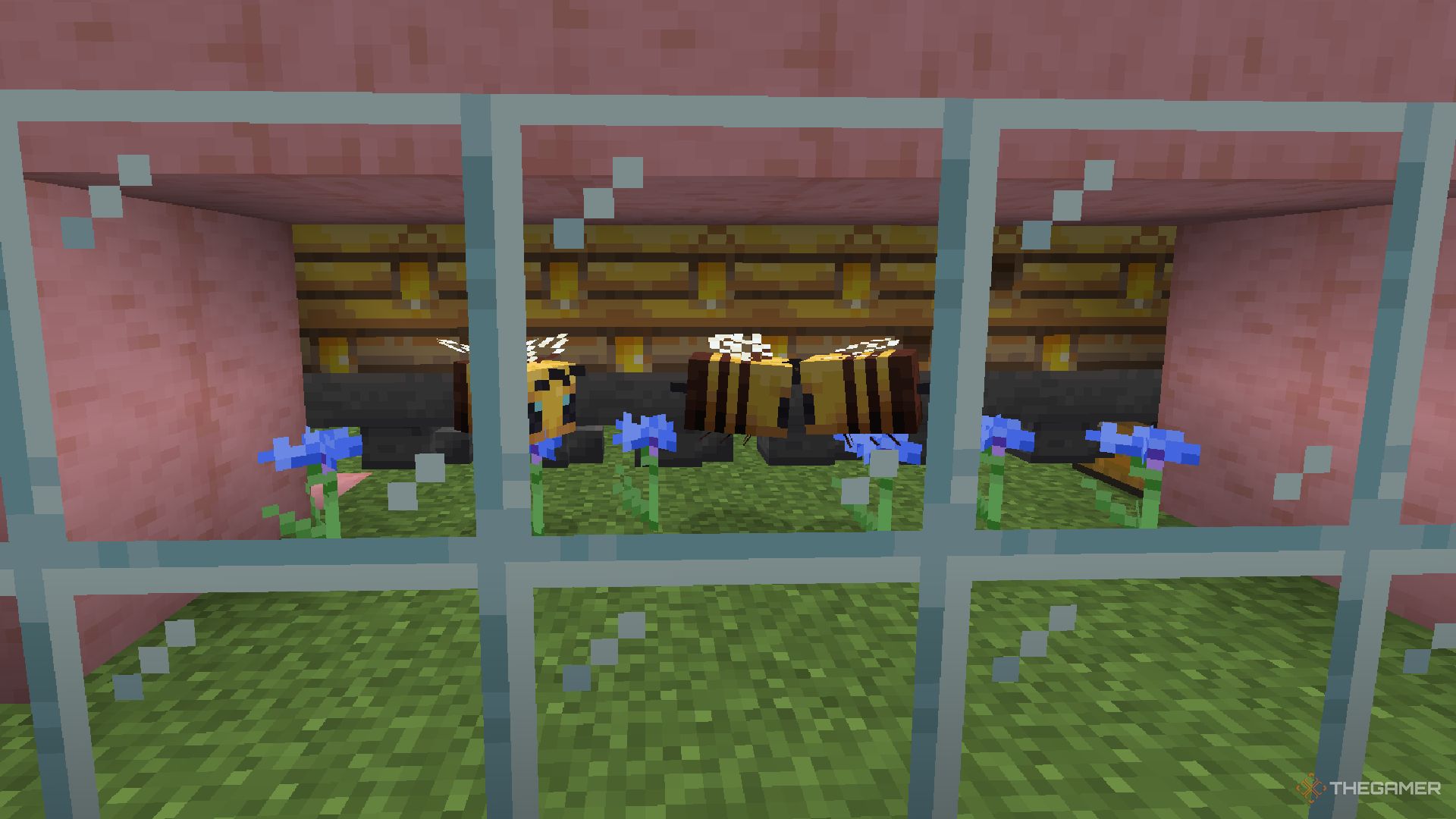 How To Make A Bee Farm In Minecraft