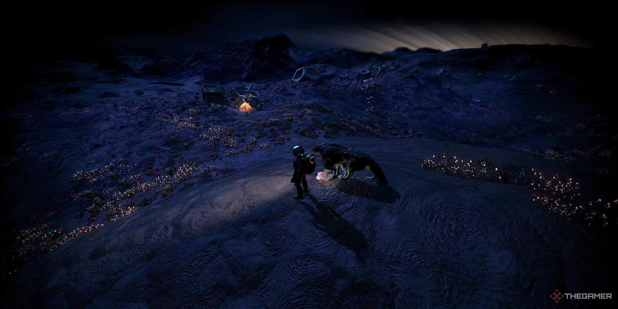 A photo of a player in No Man&rsquo;s Sky looking at Larval Cores.