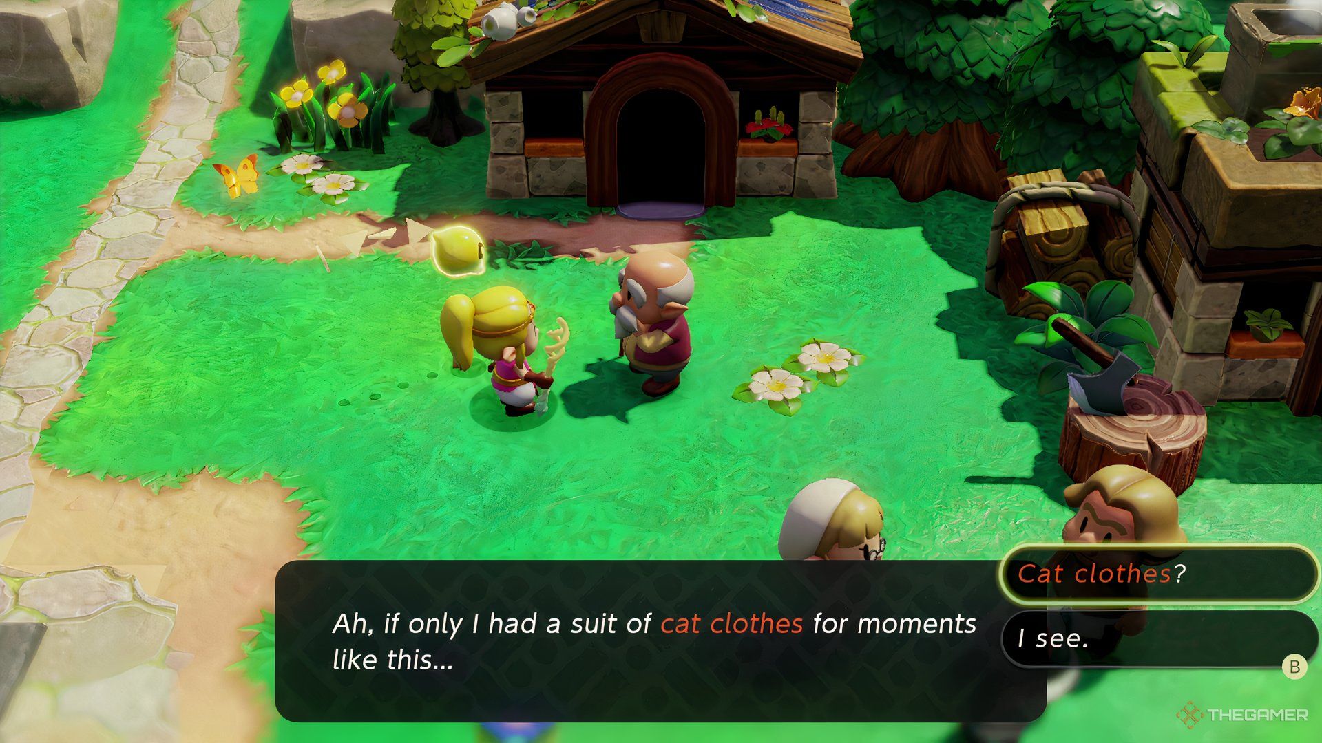 Zelda talks to an old man who lost his cat in Kakariko Village.