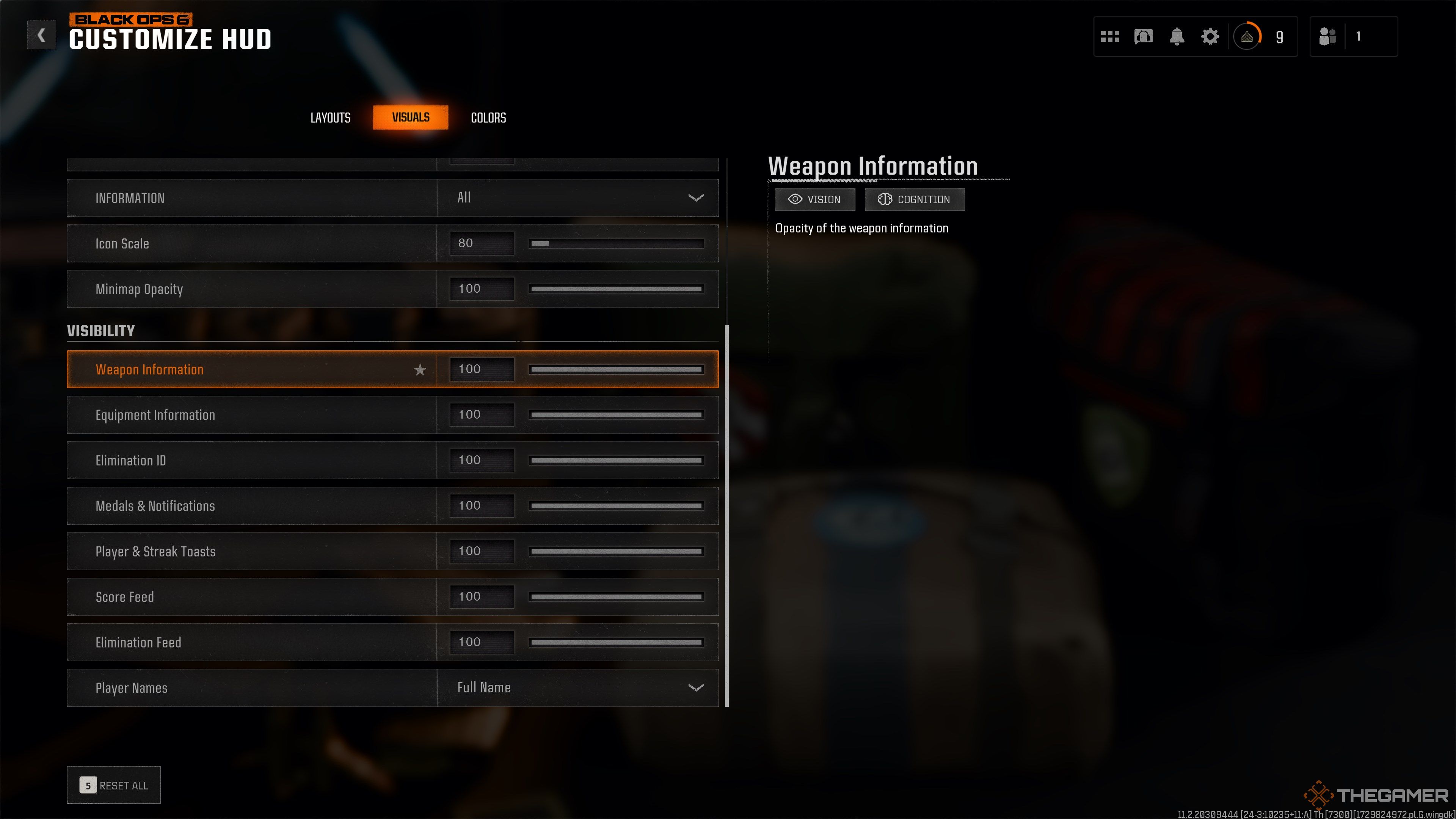 Black Ops 6 Visibility Options