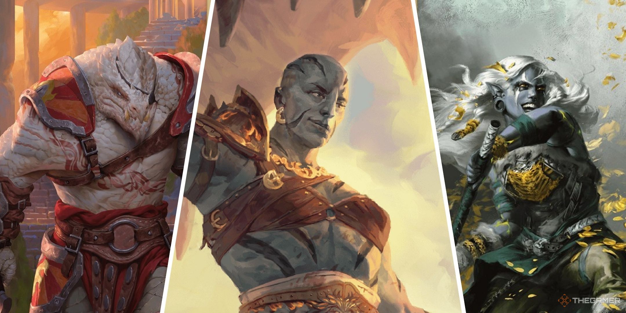 Biggest Changes To The Barbarian Class In The 2024 Player's Handbook In DND