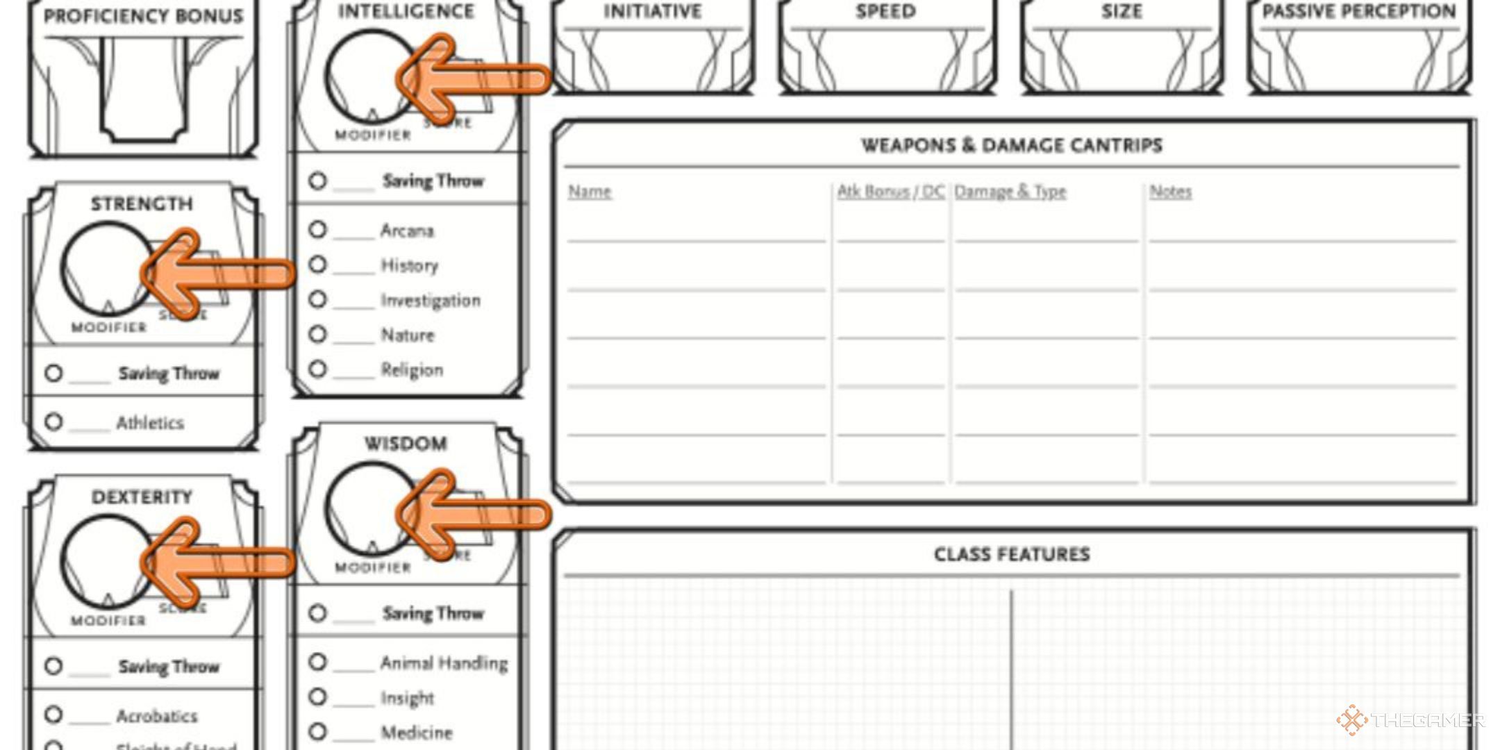 How To Create A Character Using The 2024 Player's Handbook In DND