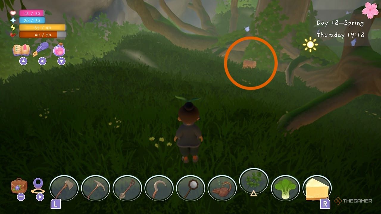 Player facing a chest in the distance beneath a tree in Garden Witch Life.