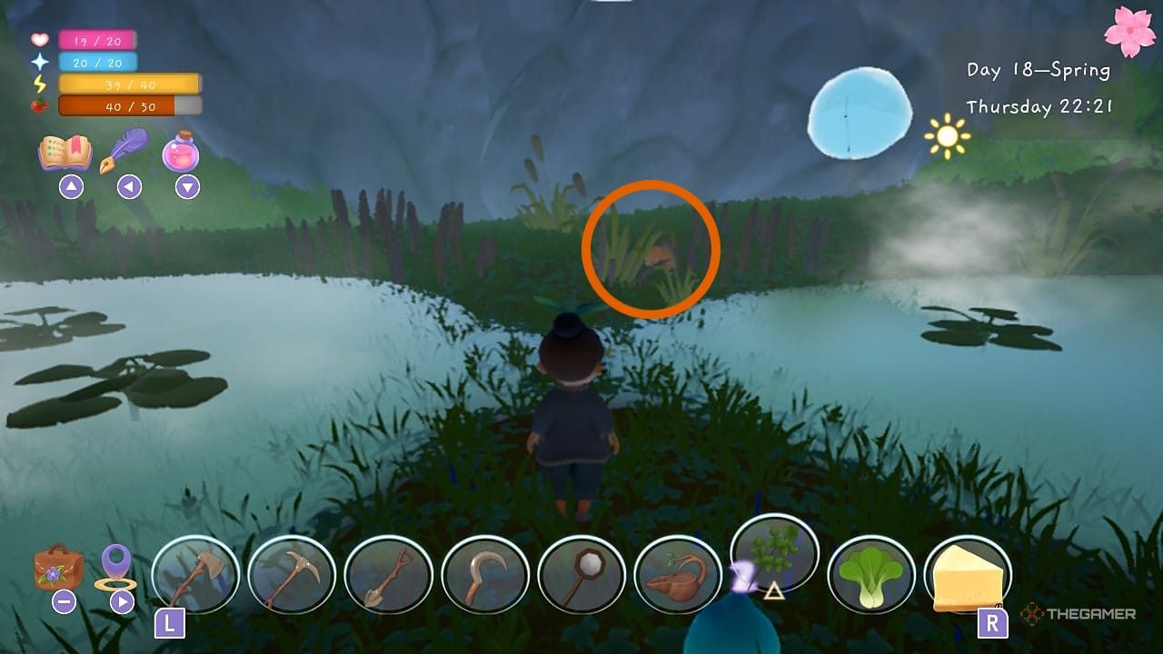 Player near ponds with a chest circled in the background in Garden Witch Life.