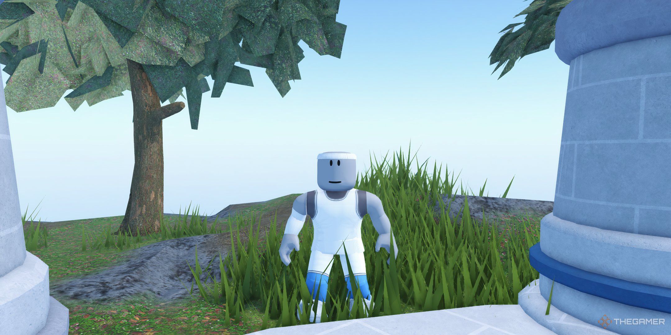 Codes thegamer