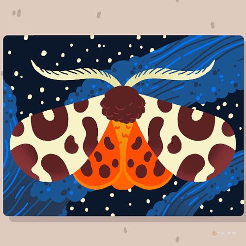 Wilmot completes a puzzle named Garden Tiger in Wilmot Works It Out