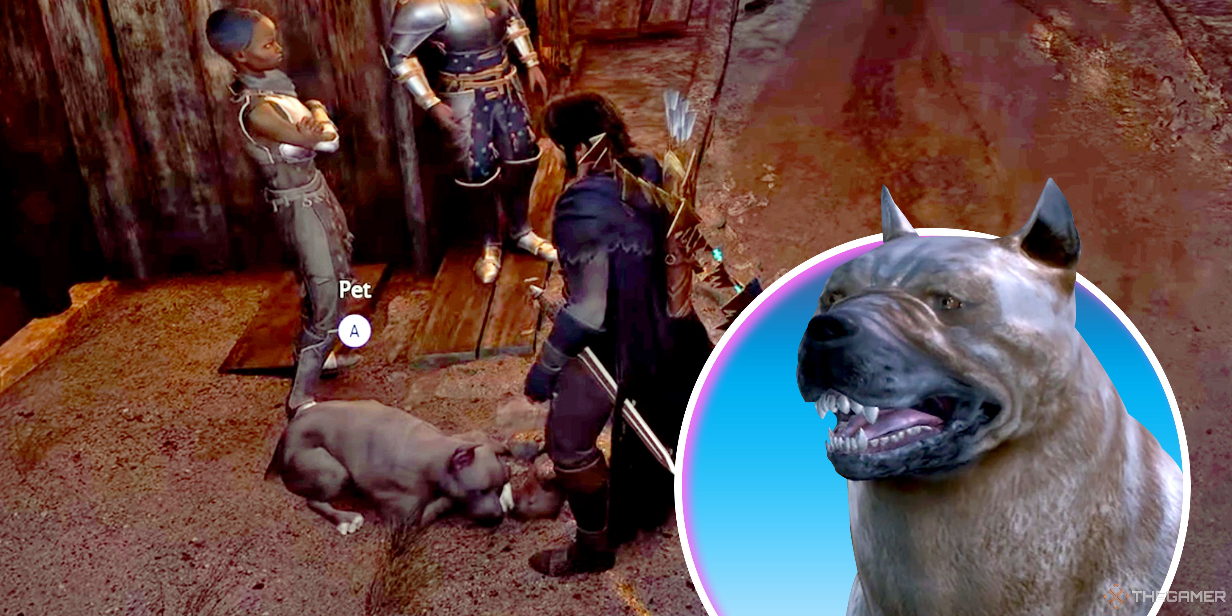 Dragon Age: The Veilguard Shouldn’t Have Let Us Pet The Dog