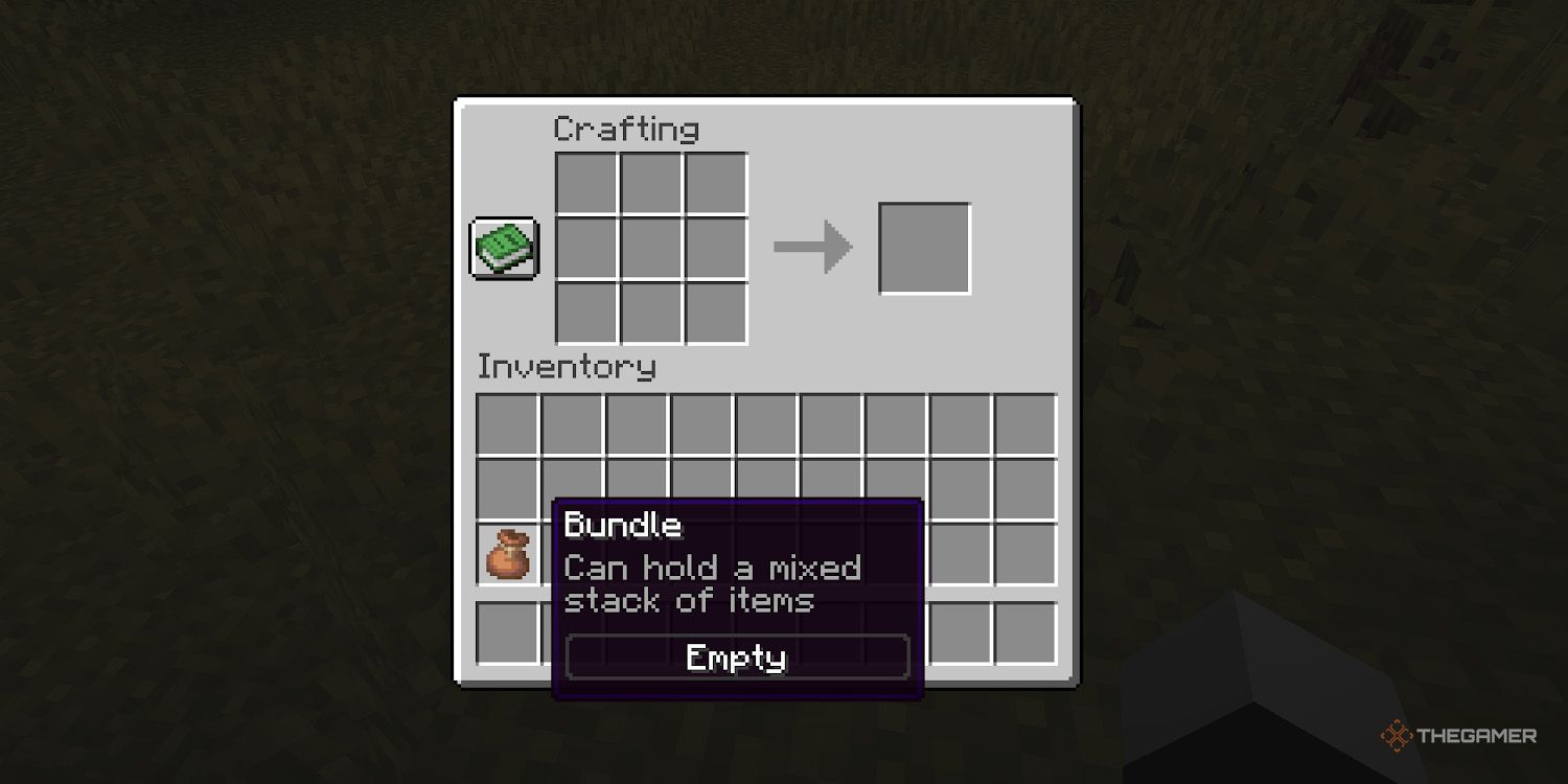 An empty bundle is shown in a Minecraft player's inventory.