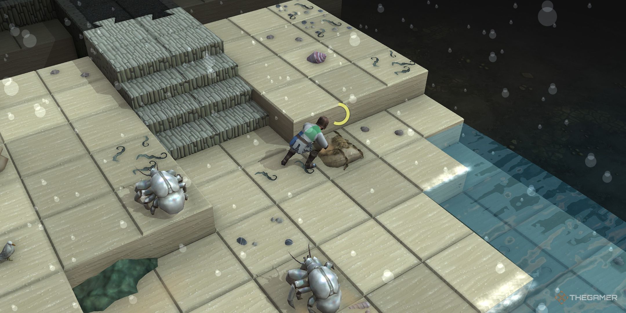The player gathering a piece of Brown Kelp in East Beach in Brighter Shores.
