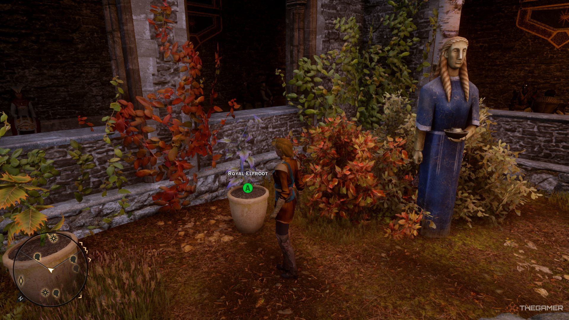 Dónde encontrar todas las semillas en Dragon Age: Inquisition