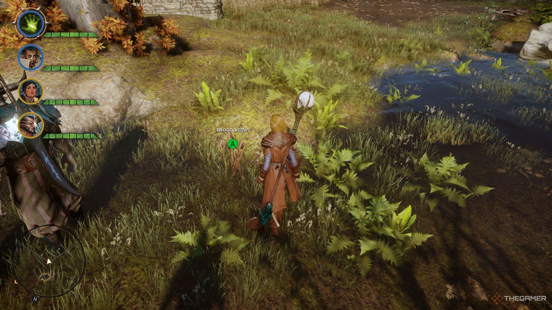 Dónde encontrar todas las semillas en Dragon Age: Inquisition