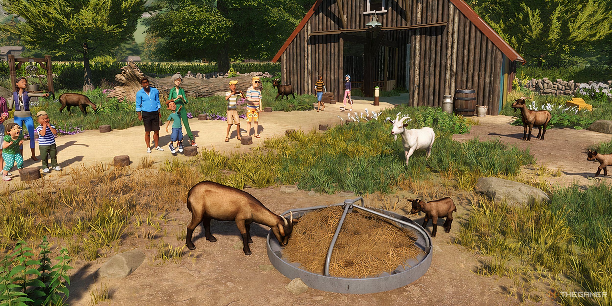 A family of goats eating on a farm.