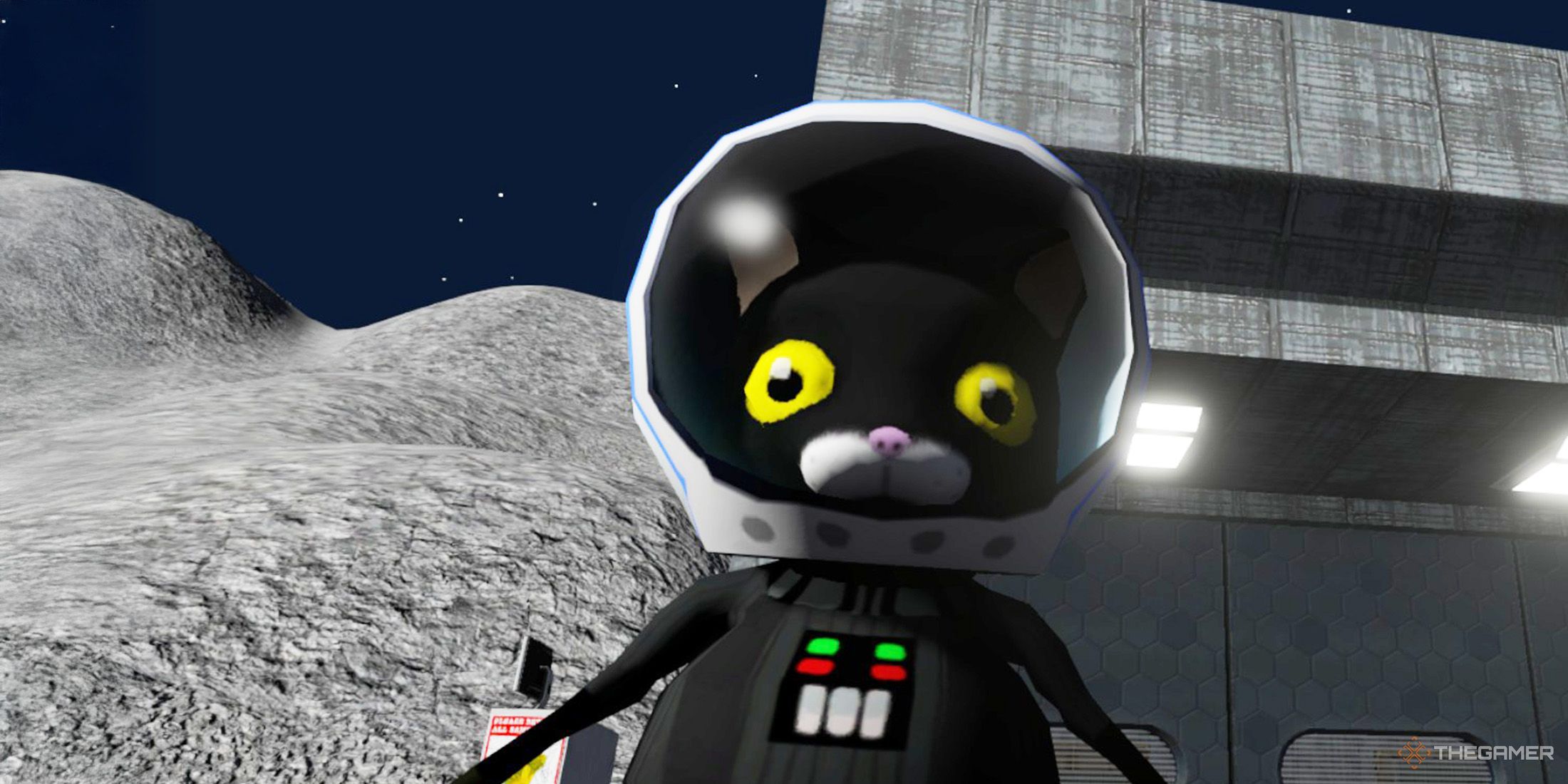 The player wears the Darth Vader costume and a Space Cat helmet in Amazing Frog