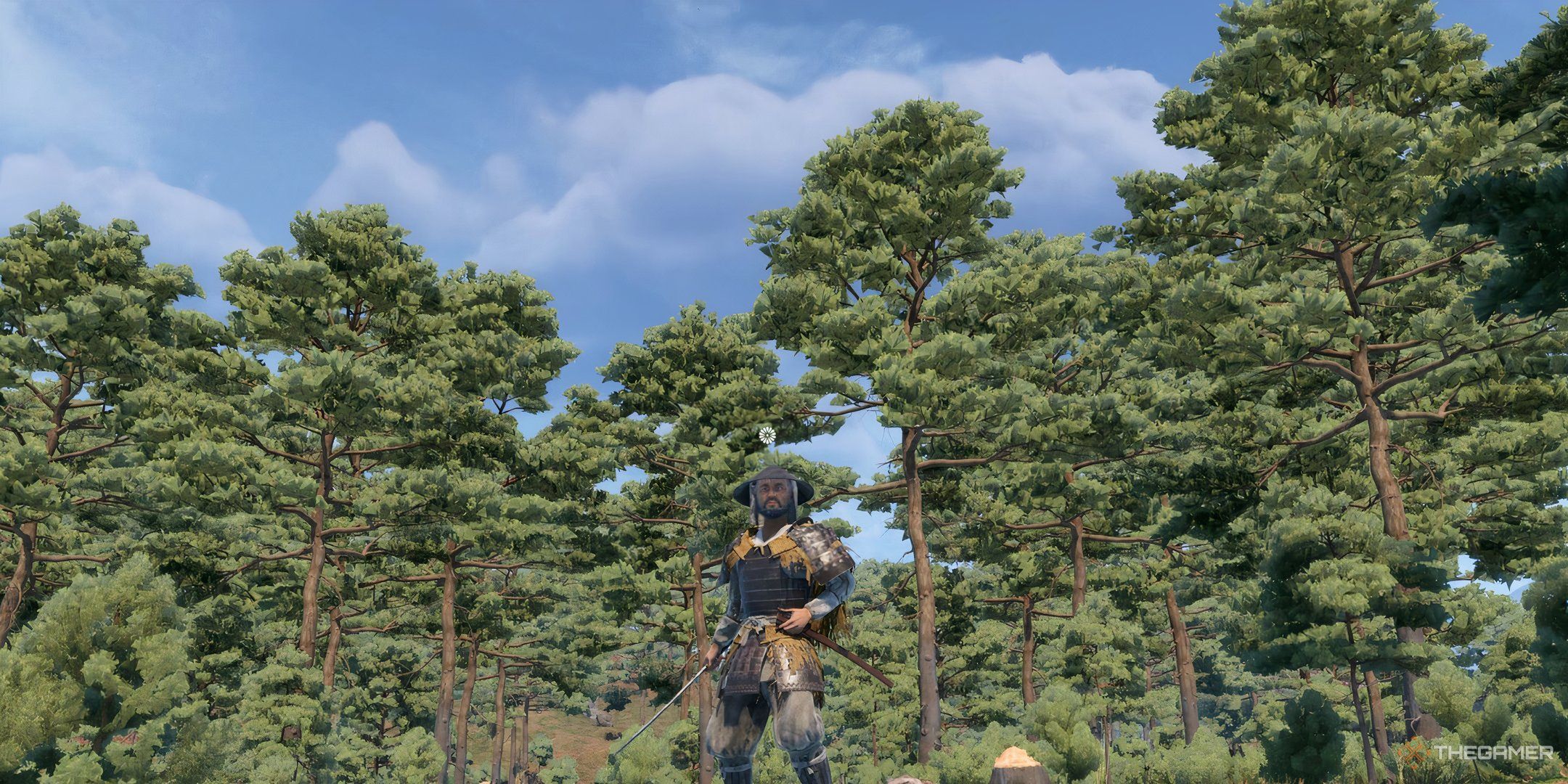 The player is wearing Ashigaru Armor and is wielding a katana in Sengoku Dynasty.