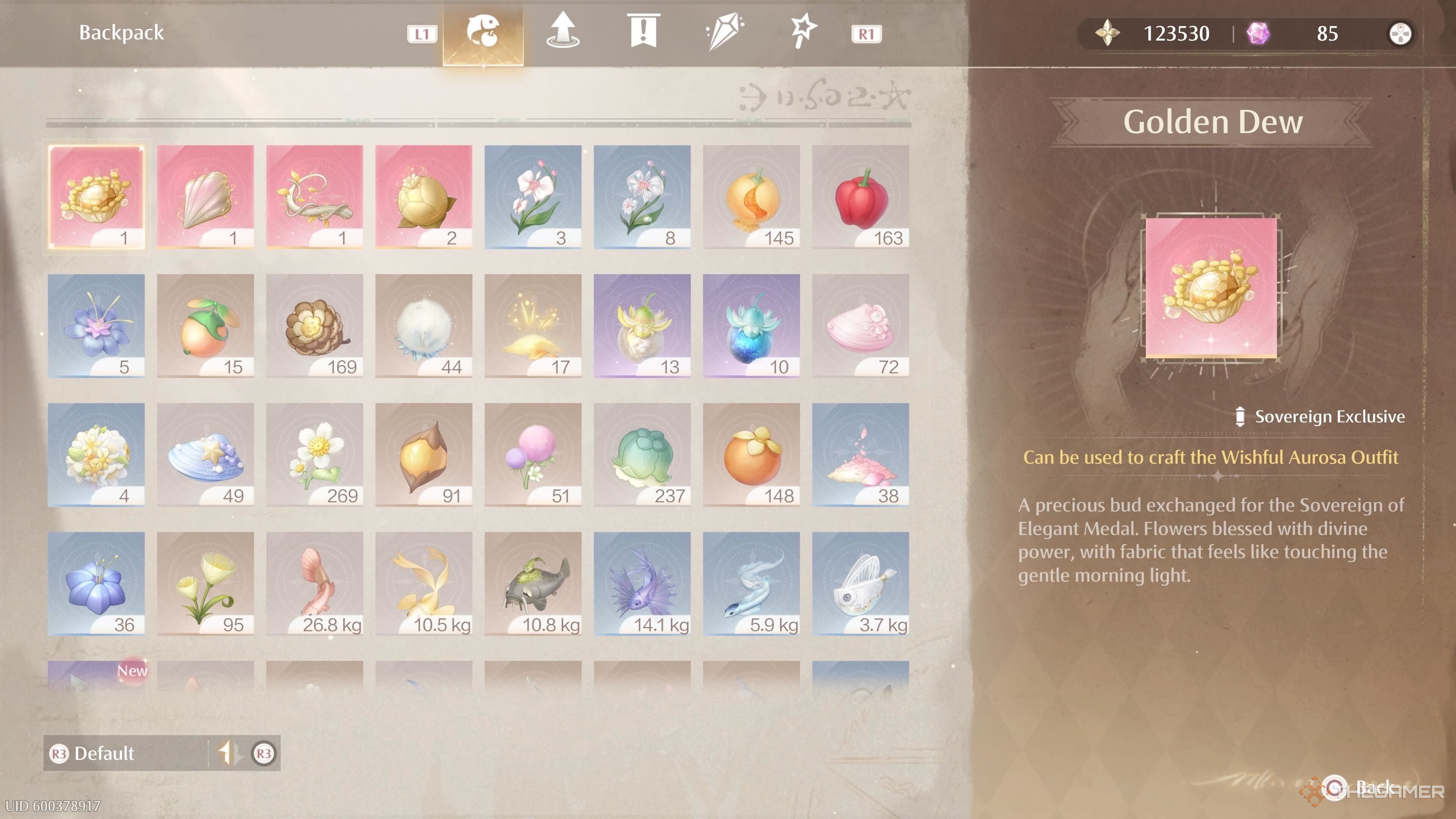 An inventory screen in Infinity Nikki.