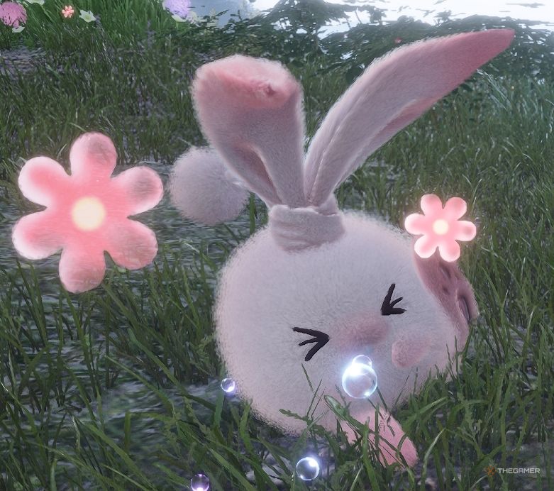 Bushbunny با پایش در Infinity Nikki