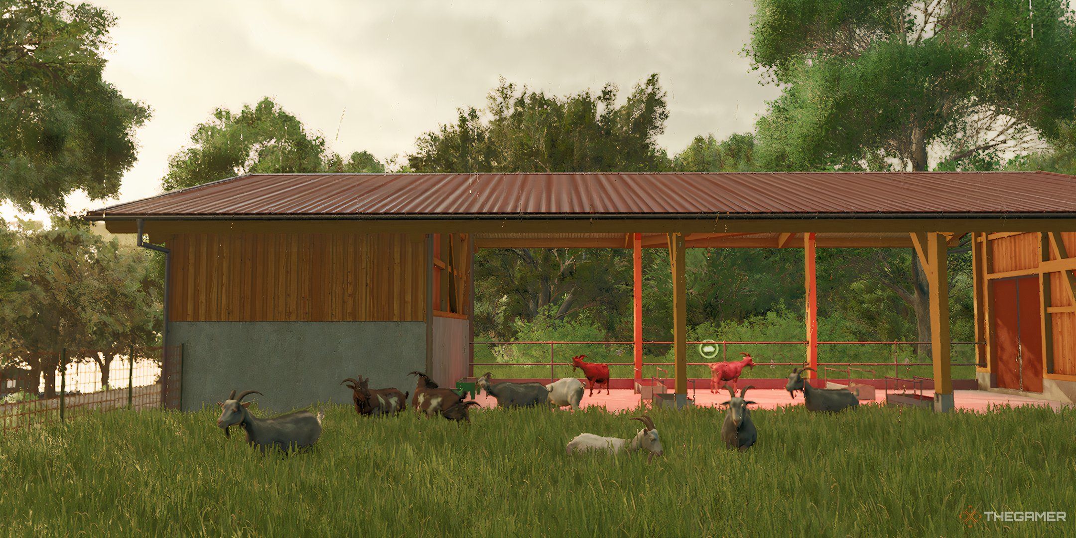 Goats in Farming Simulator 25. The goats are eating grass and there is a barn in backround.