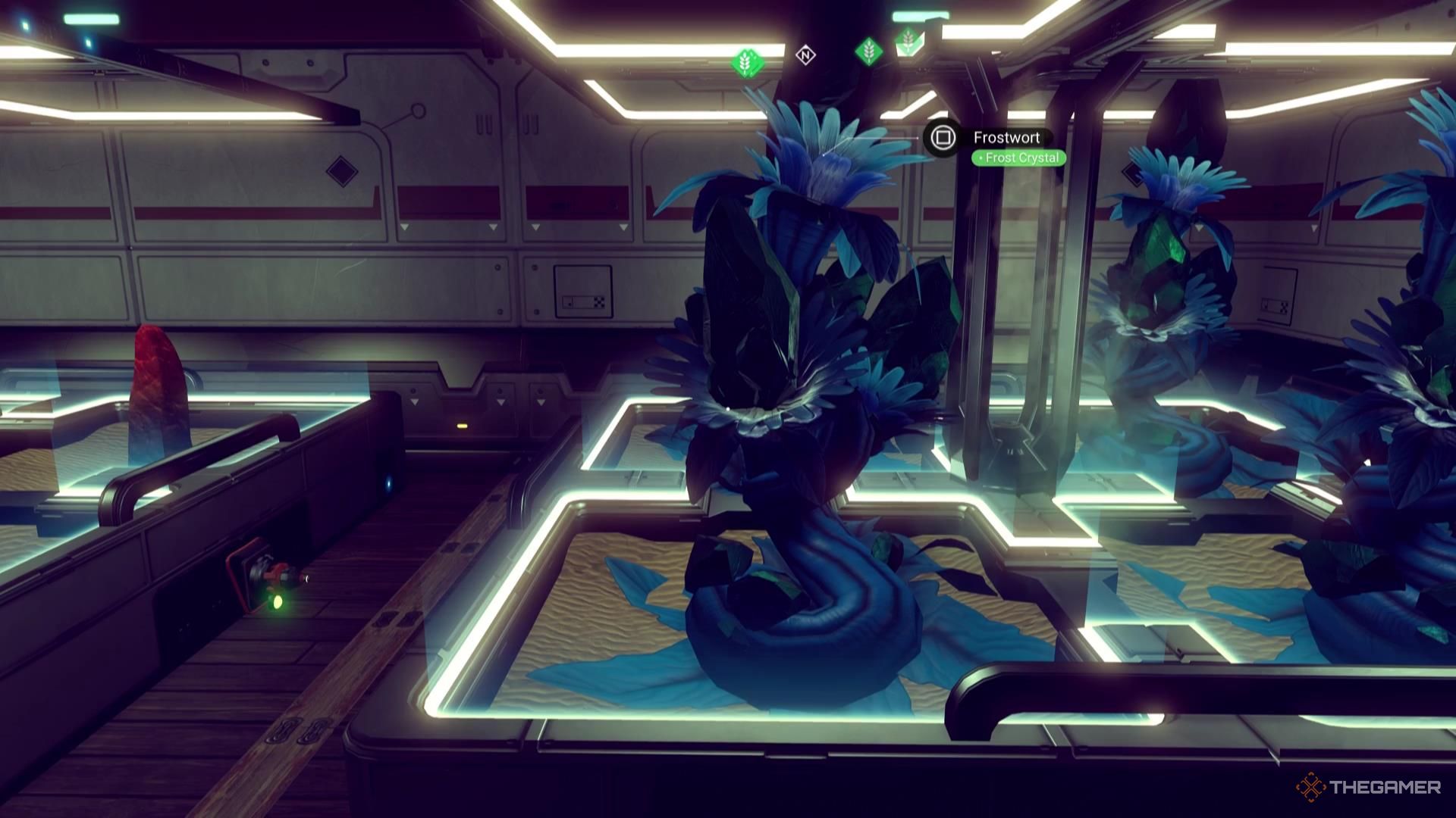 یک Frostwort در آستانه برداشت در No Man's Sky.