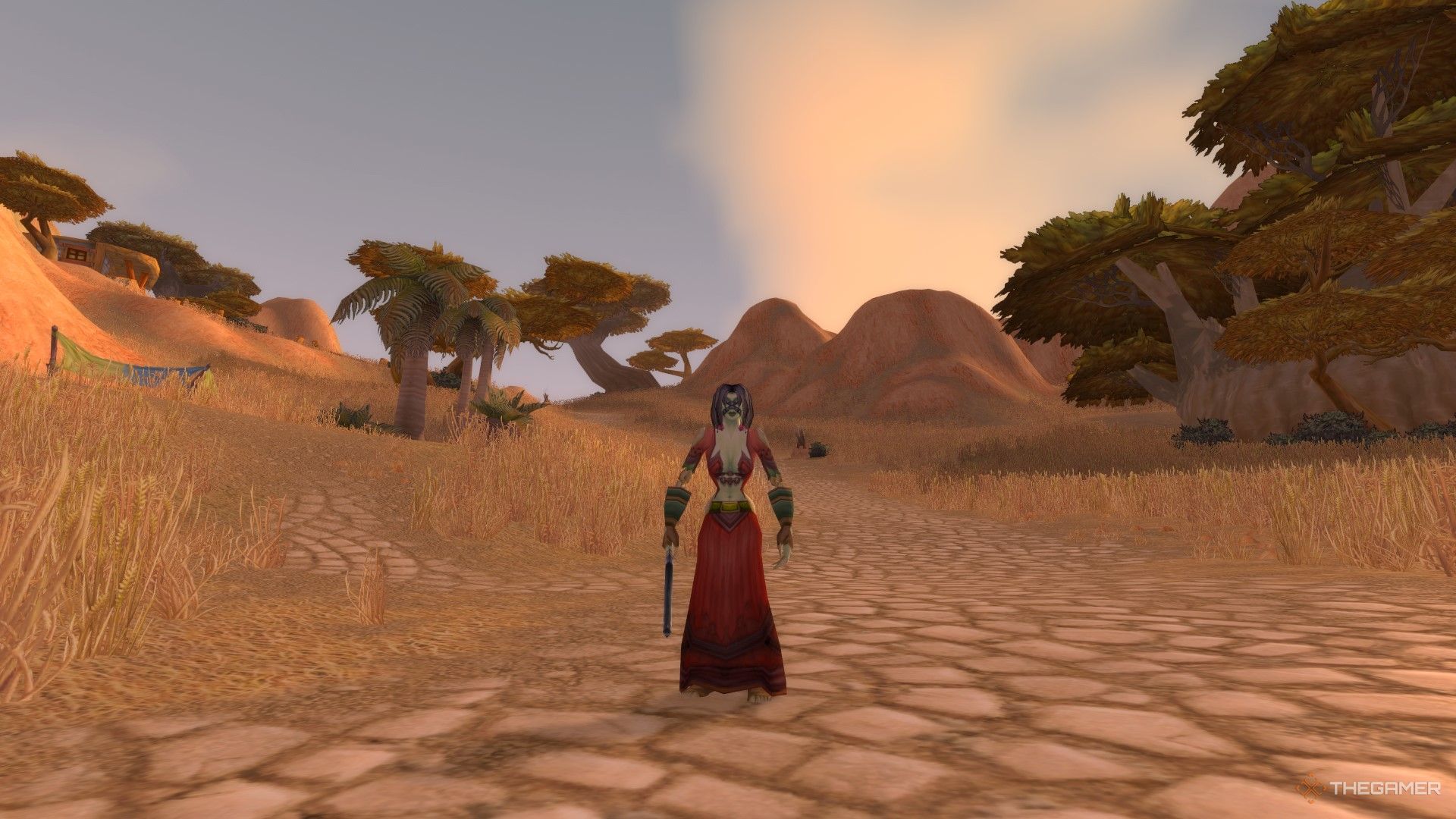 A Forsaken mage on the road that leads outside of the goblin port of Ratchet into the Barrens.