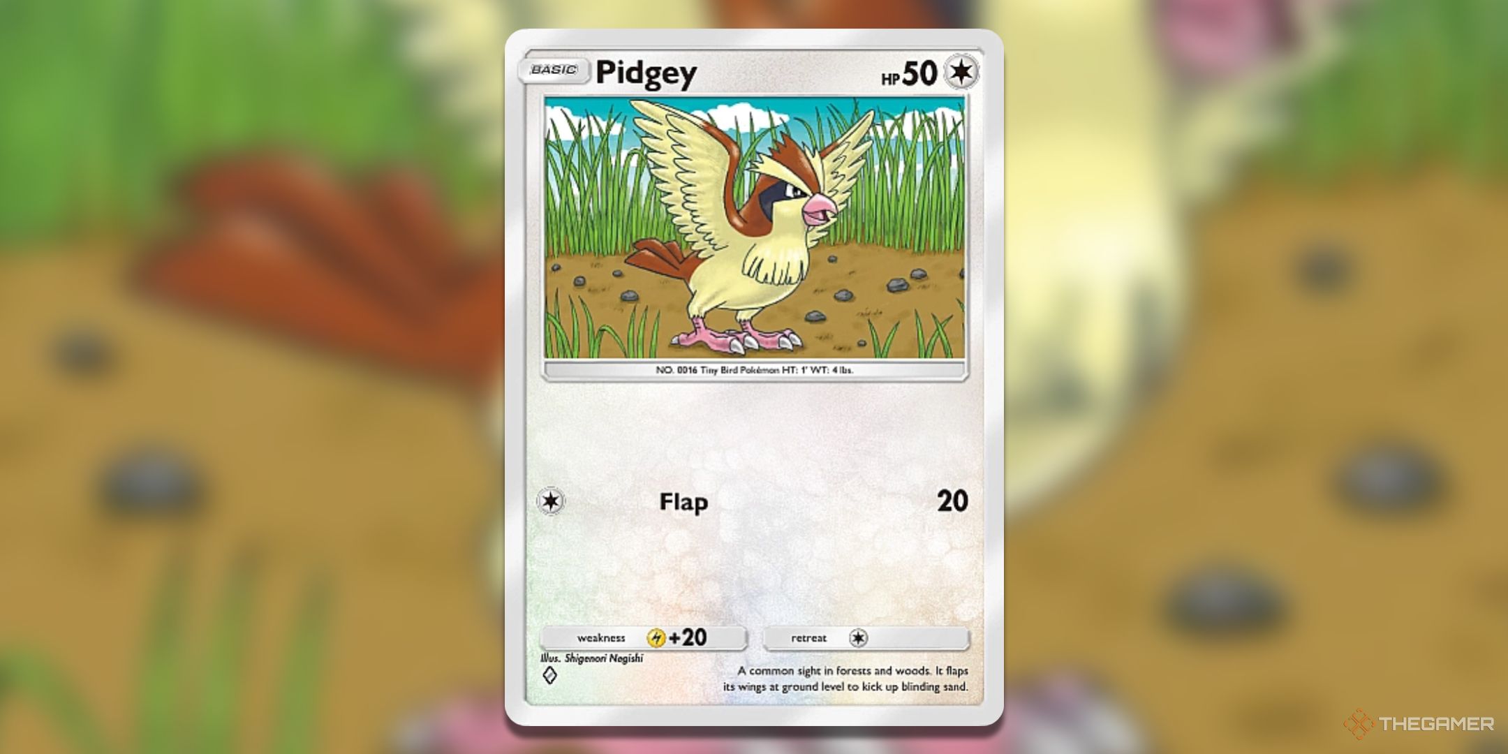 Pidgey Mythical Island Pokemon TCG Pocket Card Art.