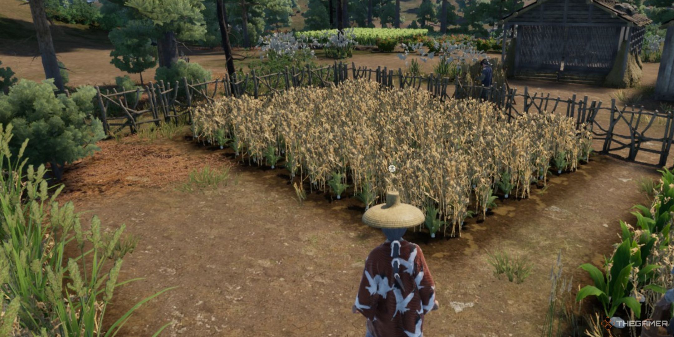 The player is standing in the field of crops in Sengoku Dynasty.