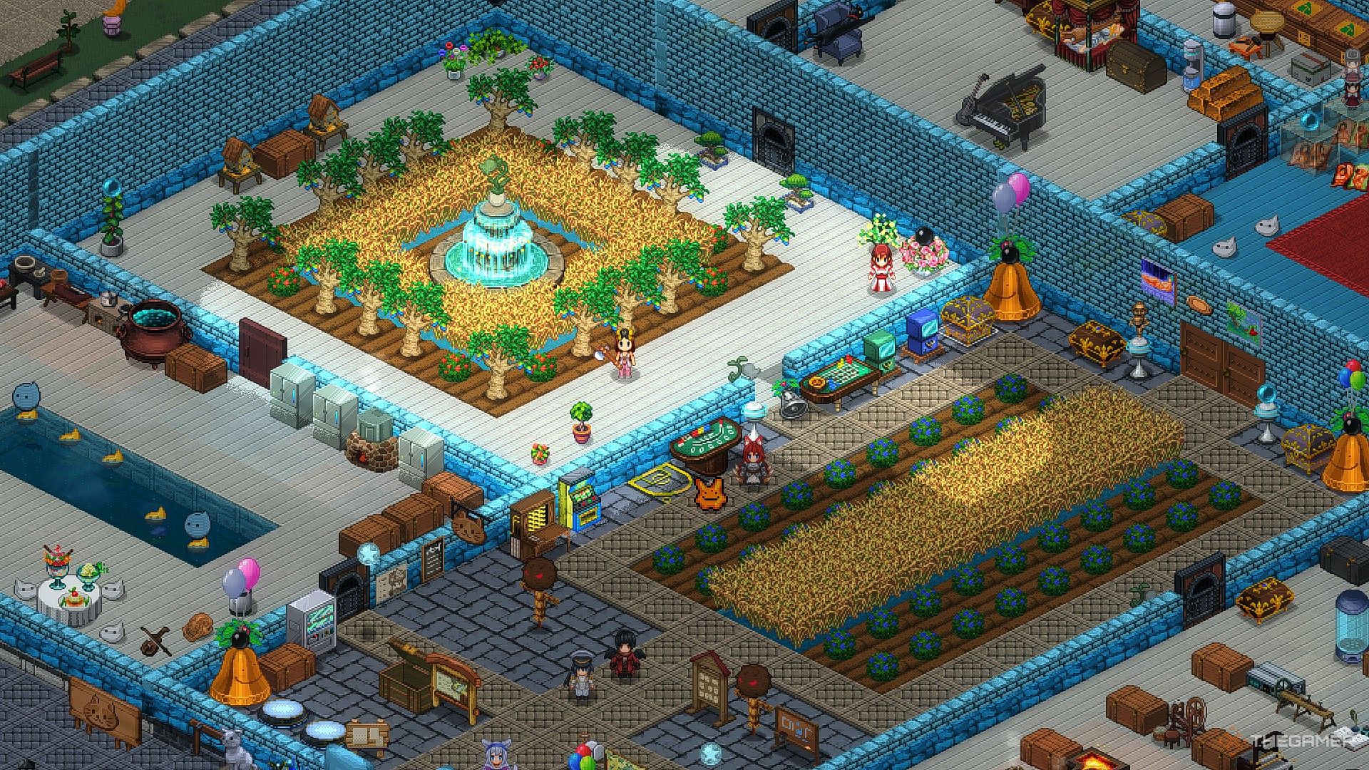 A high level farm in Elin growing rainbow fruit and grain.