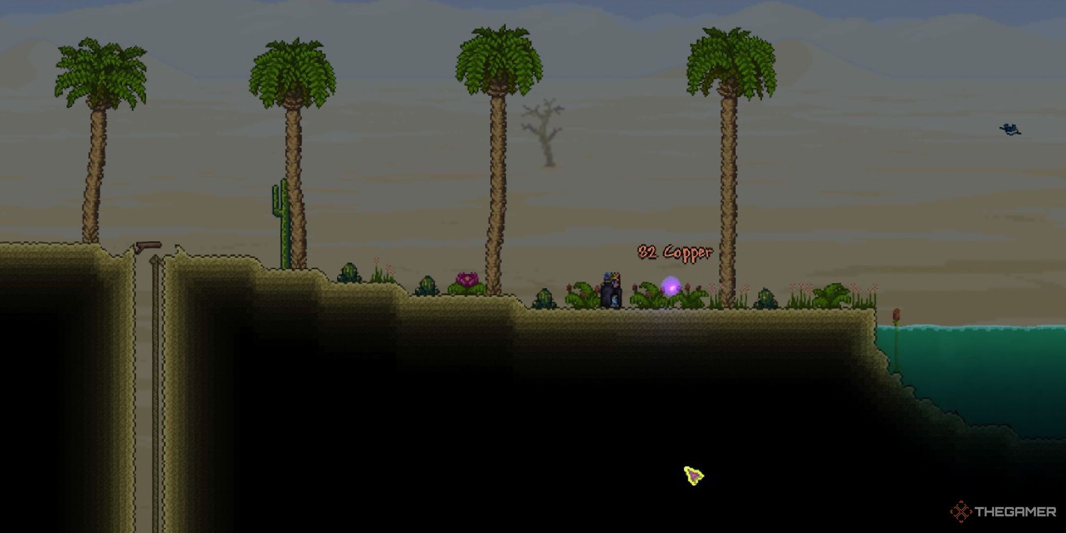 A player standing in a Desert in Terraria.