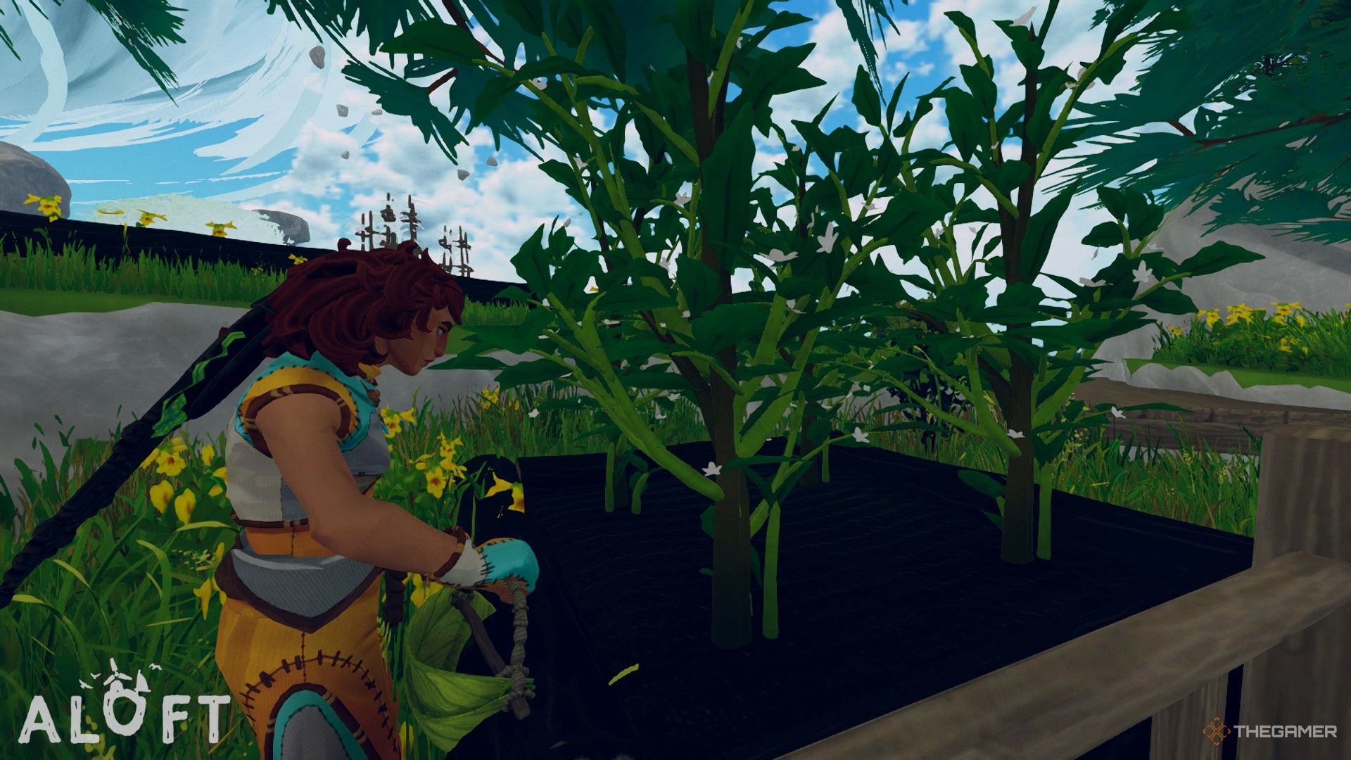 A player watering coffee plants in a Farming Plot in Aloft.-1