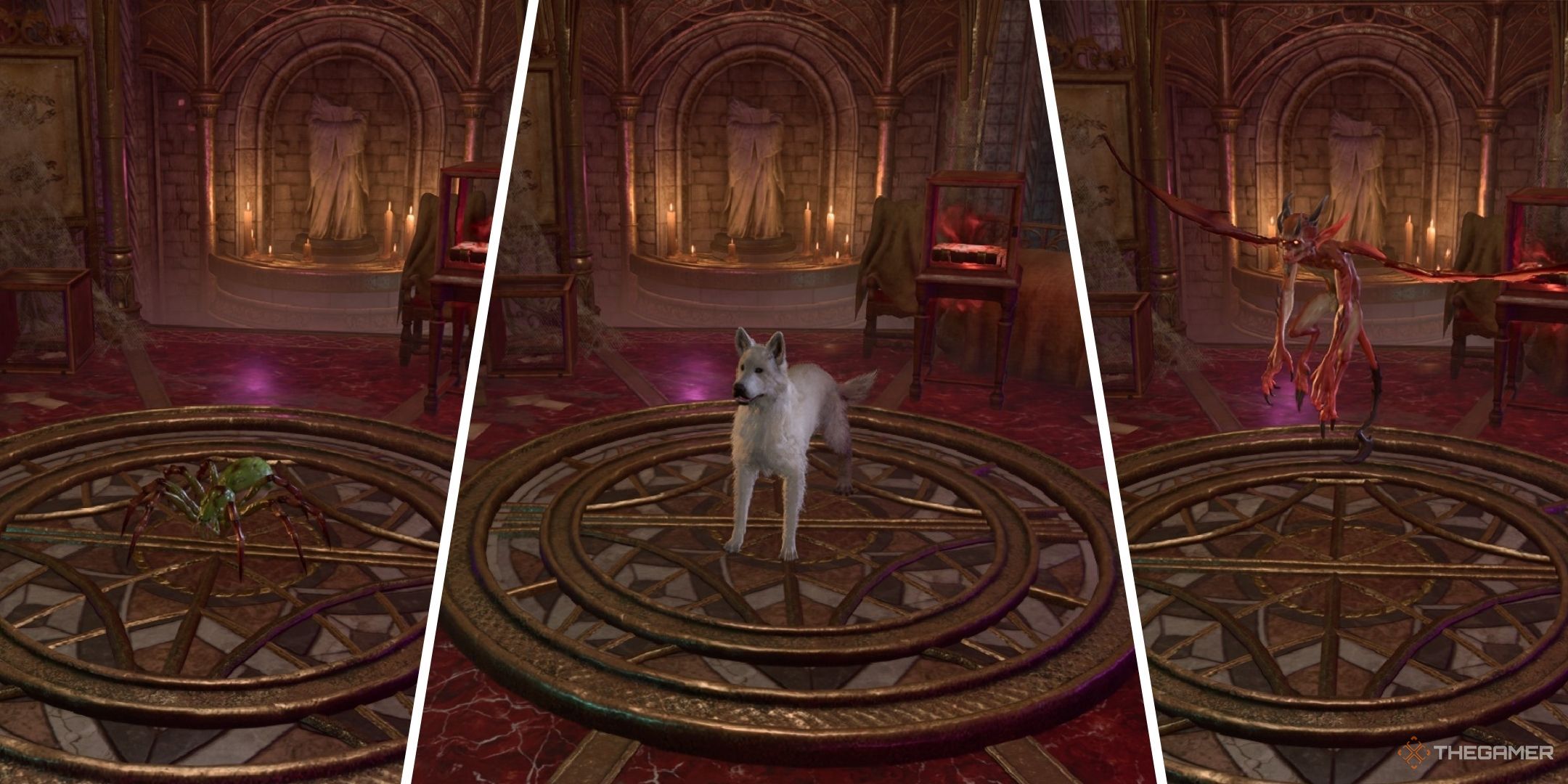 Baldurs Gate 3 image showing a spider, scratch the dog, and an imp.