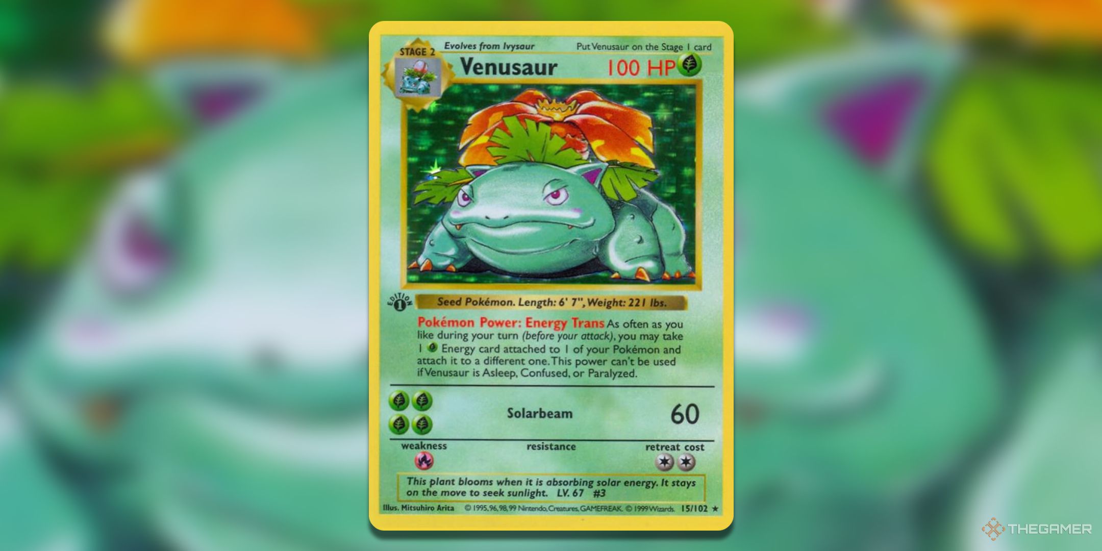 Base Set Venusaur 1st edition Pokemon TCG card art.