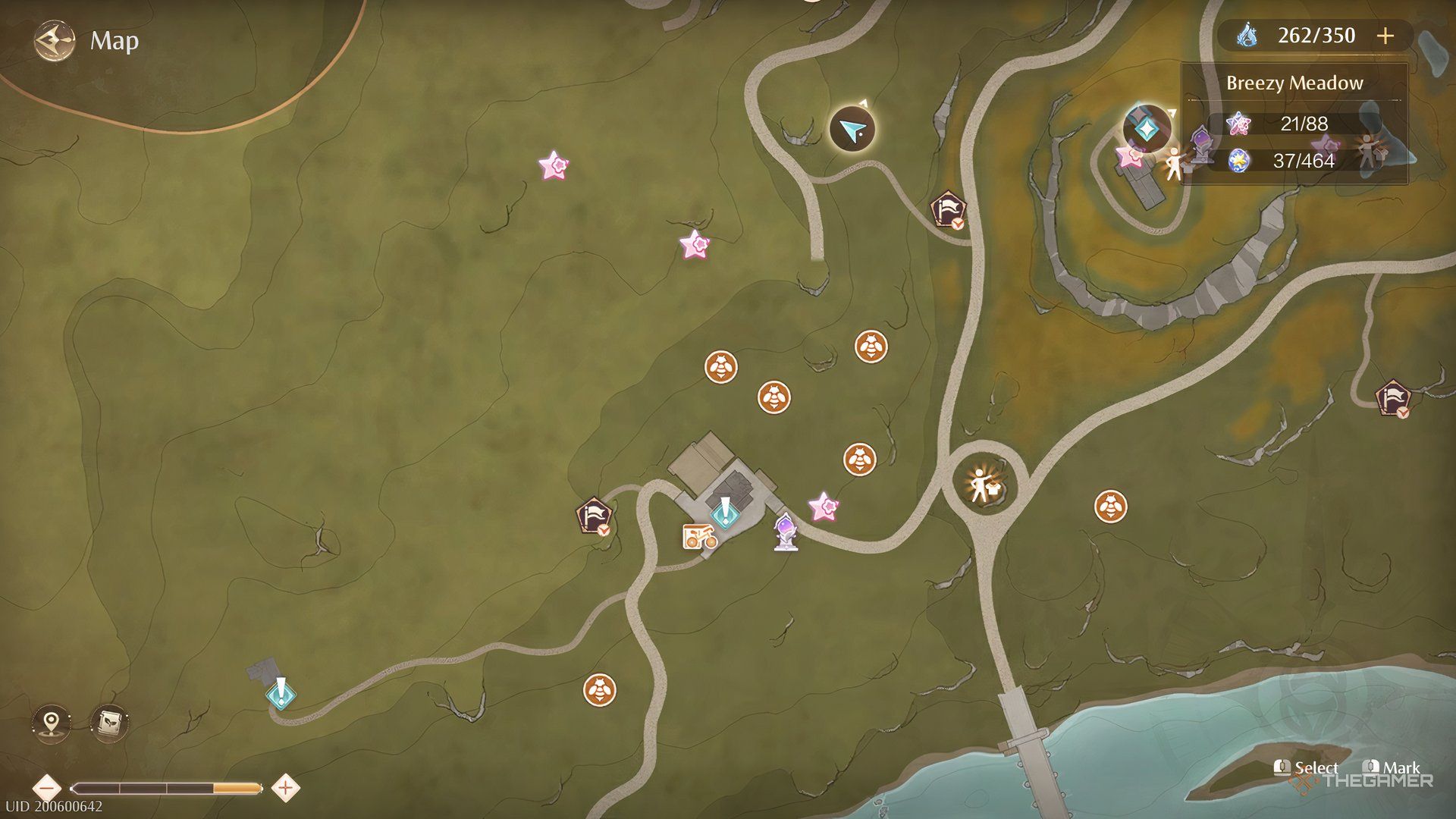 Blossom Beetles in the Meadow Activity Support Center in Infinity Nikki.