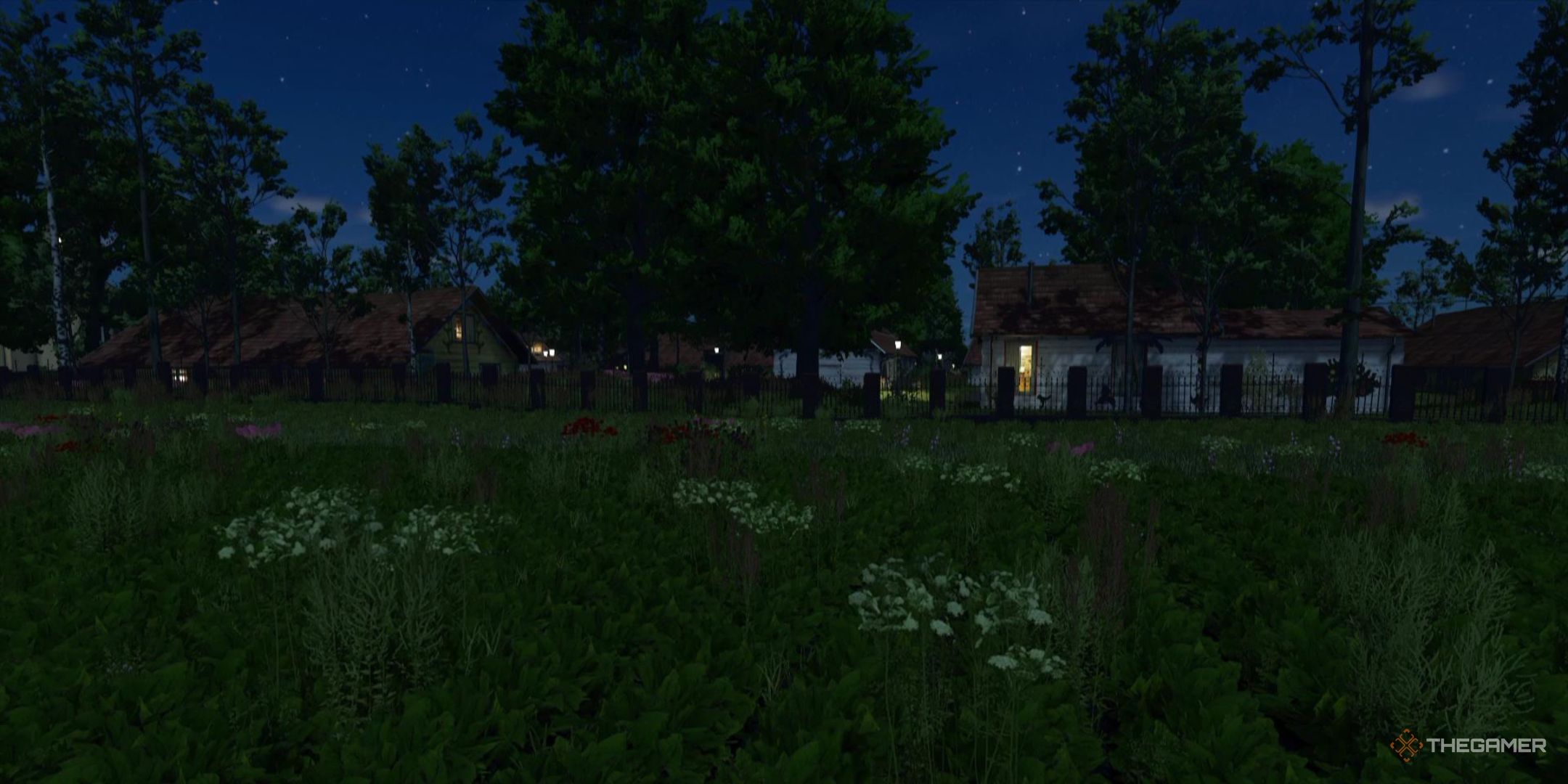 A few houses sit in the night with their lights on in the Zielonka map in Farming Simulator 25.