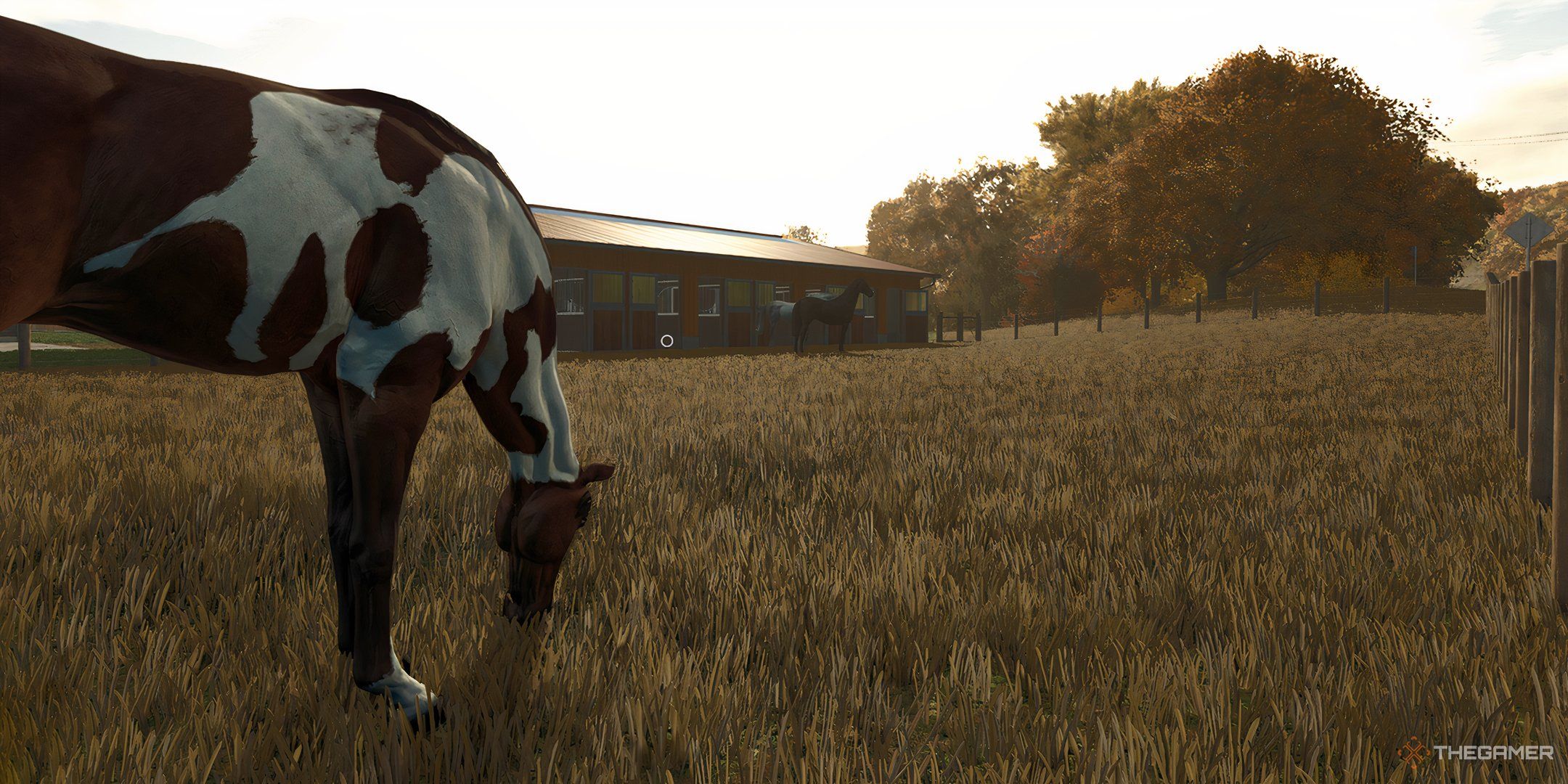 Horse eating grass in Farming Simulator, the sun is setting down.