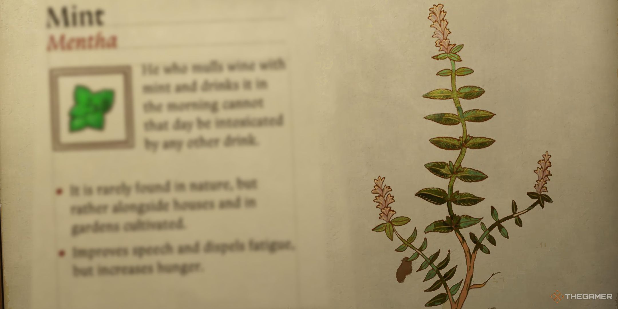 KCD2 Mint Herbarium Page Blurred