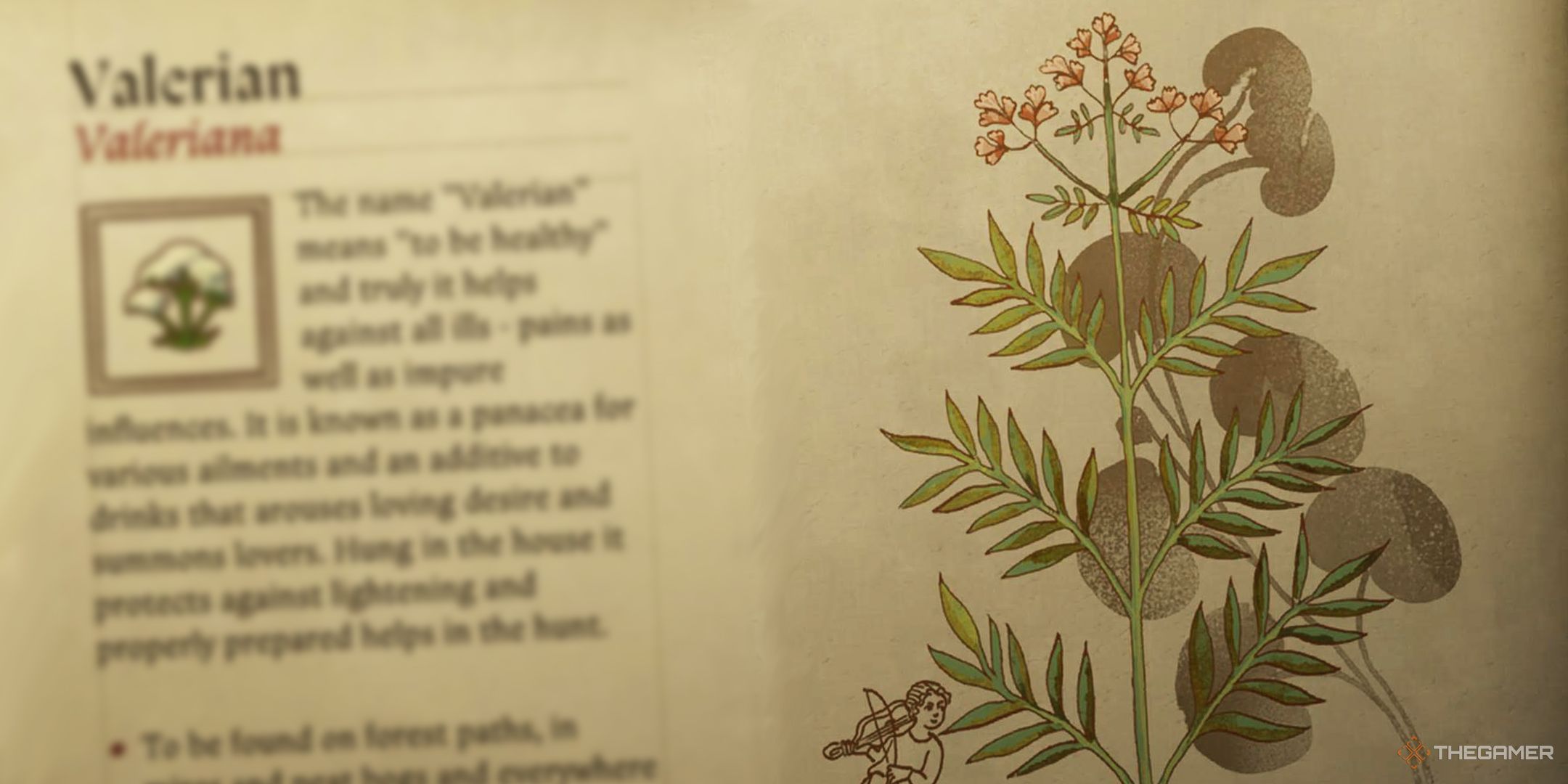 KCD2 Valerian Herbarium Page Blurred